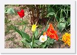 IMG_0735 * 3504 x 2336 * (3.19MB)