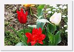 IMG_0737 * 3504 x 2336 * (2.88MB)