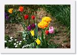IMG_0739 * 3504 x 2336 * (2.52MB)