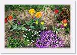 IMG_0742 * 3504 x 2336 * (4.73MB)