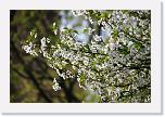 IMG_0756 * 3504 x 2336 * (2.92MB)