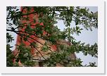 IMG_0758 * 3504 x 2336 * (3.43MB)