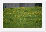 IMG_0759 * 3504 x 2336 * (3.39MB)