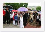 IMG_1108 * 3504 x 2336 * (3.2MB)