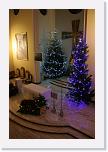 IMG_2107 * 2336 x 3504 * (3.78MB)