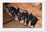 IMG_8849 * 3504 x 2336 * (3.19MB)