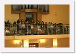 IMG_3327 * 3504 x 2336 * (3.28MB)