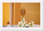 IMG_2382 * 6000 x 4000 * (10.94MB)